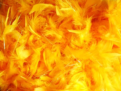 Dyed color background