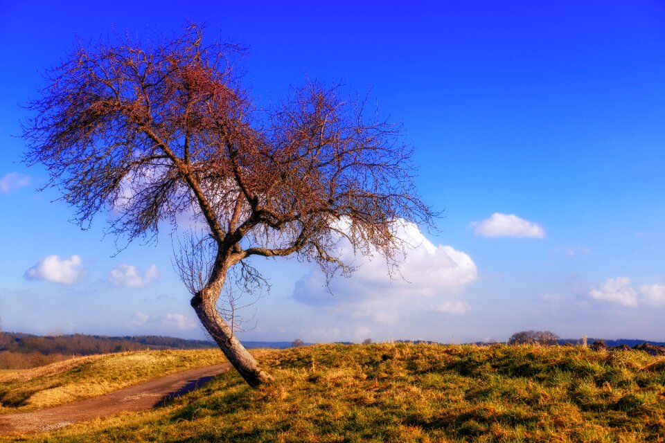 Kink askew landscape
