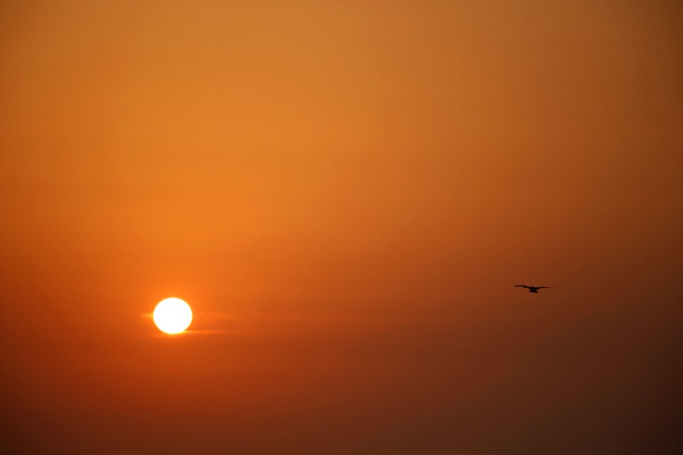 Dawn sky orange sky