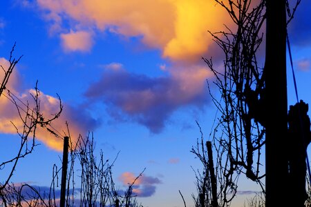 Sunset sunrise color