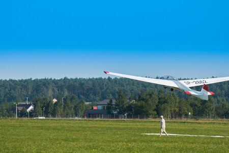 Sky wings flight photo