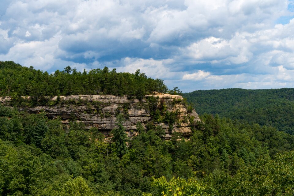 Sky ridge trees