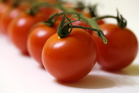 Food bush tomatoes trusses