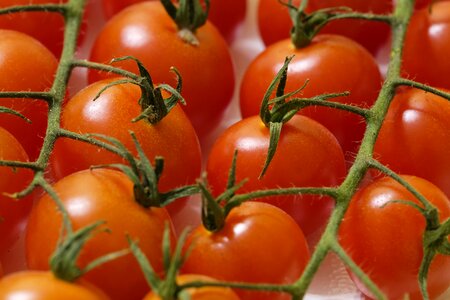 Food bush tomatoes trusses