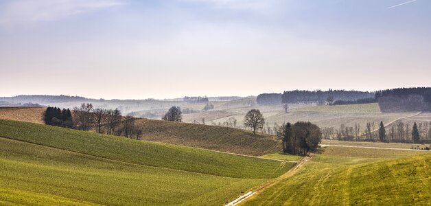 Mystical grass panorama