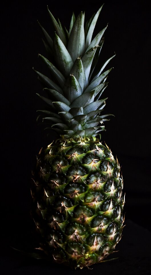 Fruit fetus still life