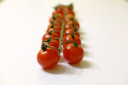 Food bush tomatoes trusses
