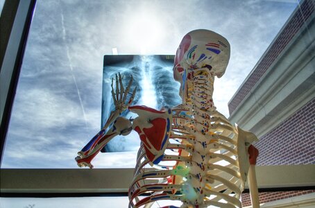 Medicine tools x-ray