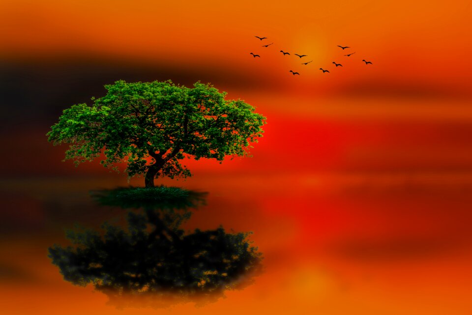 Nature outdoor live