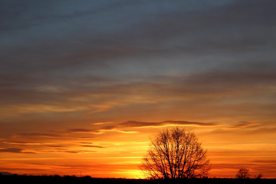 Nature panoramic sun photo