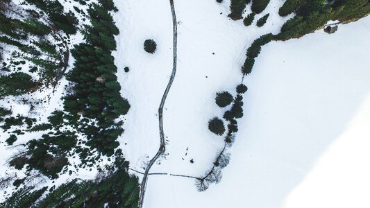 Pine aerial snow photo