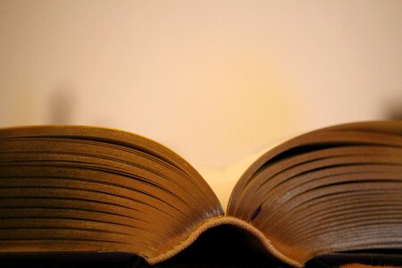 Book gilt edge read