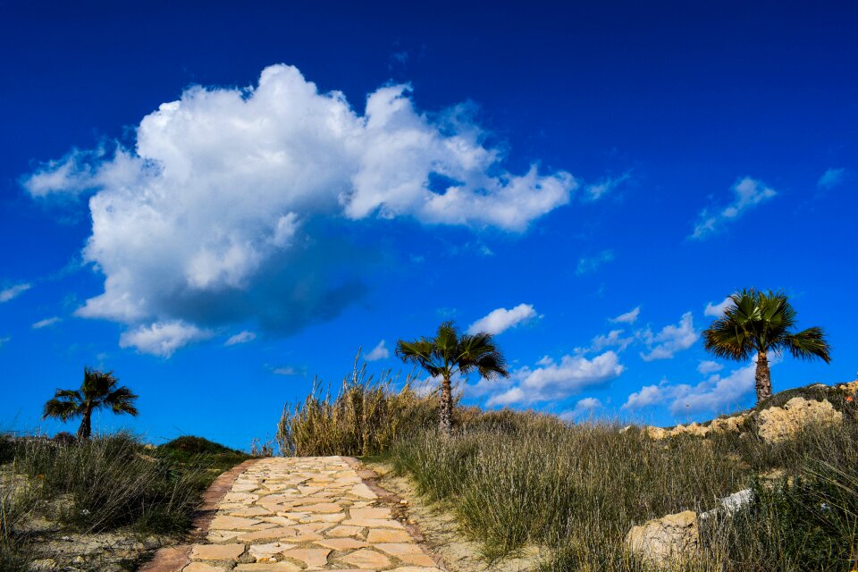 Sky clouds tree photo