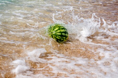 Beach wave watermelon photo