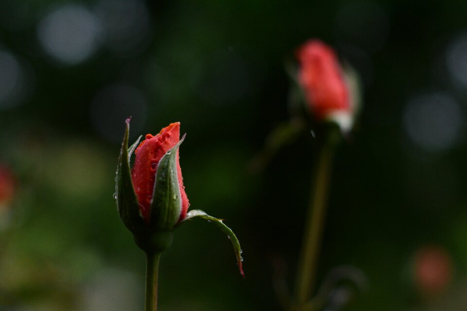 Droplet wet rain
