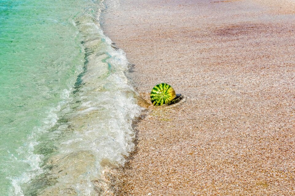 Beach coast nature
