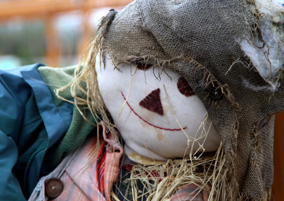 Face head scarecrow