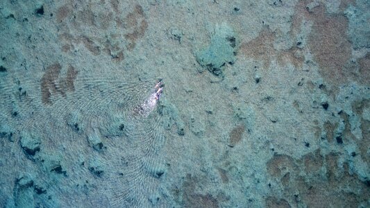 Underwater nature people