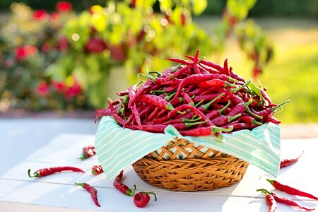 Hot peppers harvest cayenne photo