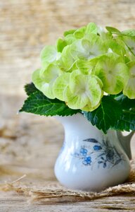 Green flower garden
