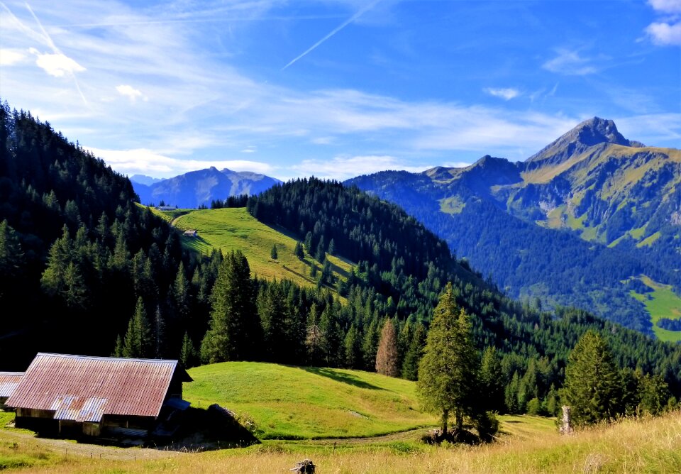Haute savoie mountain wood