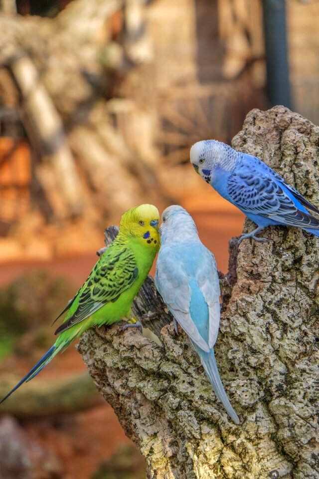 Group green blue