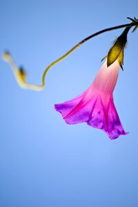 Color alive beautiful