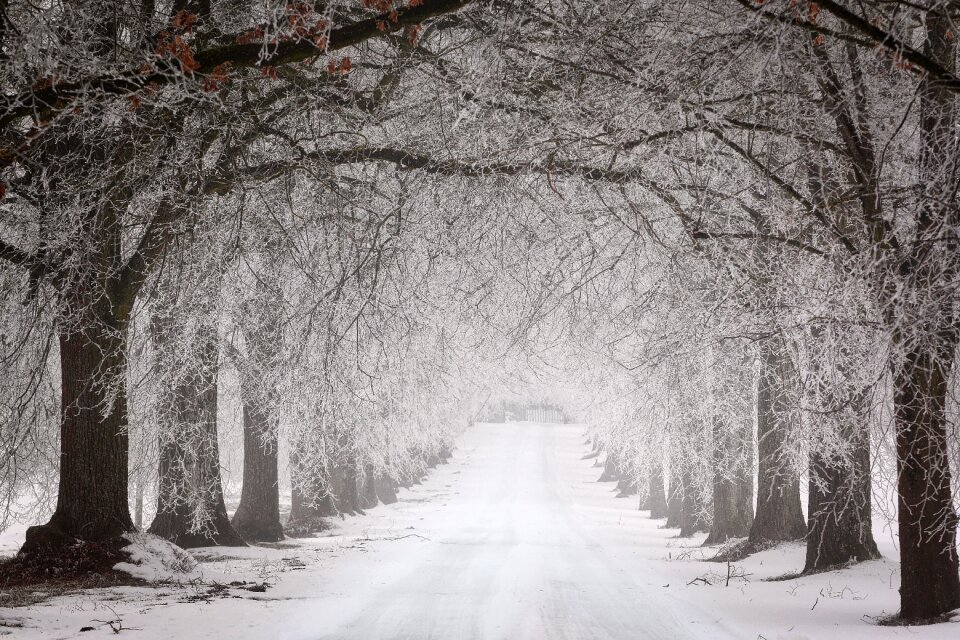 Cold frost weather