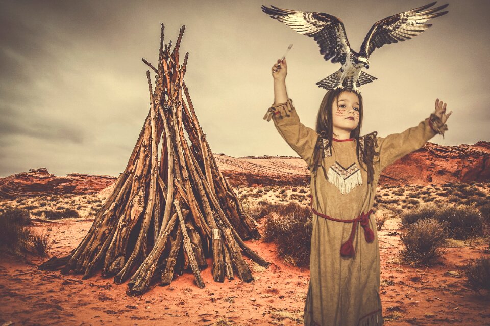 Photomontage twilight nature