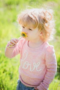 Cute dandelion dandelions