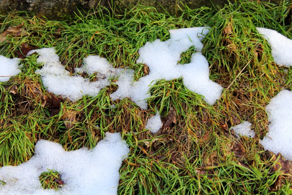 Season at the court of snow