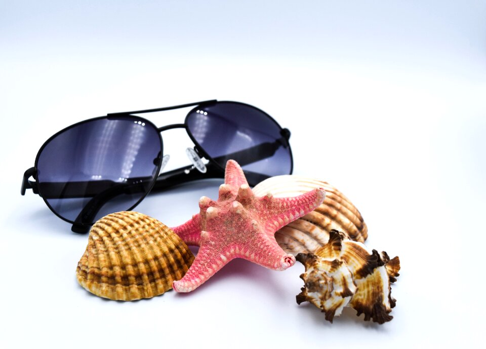 Glasses shells starfish