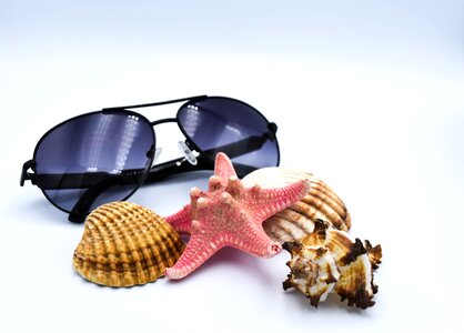 Glasses shells starfish photo