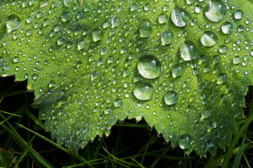Reflection sparkles green