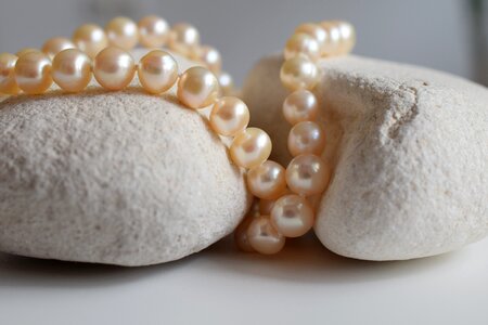 Shine beauty luxury