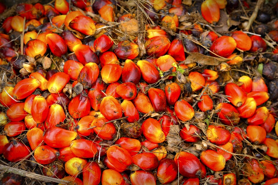 Background ripe red