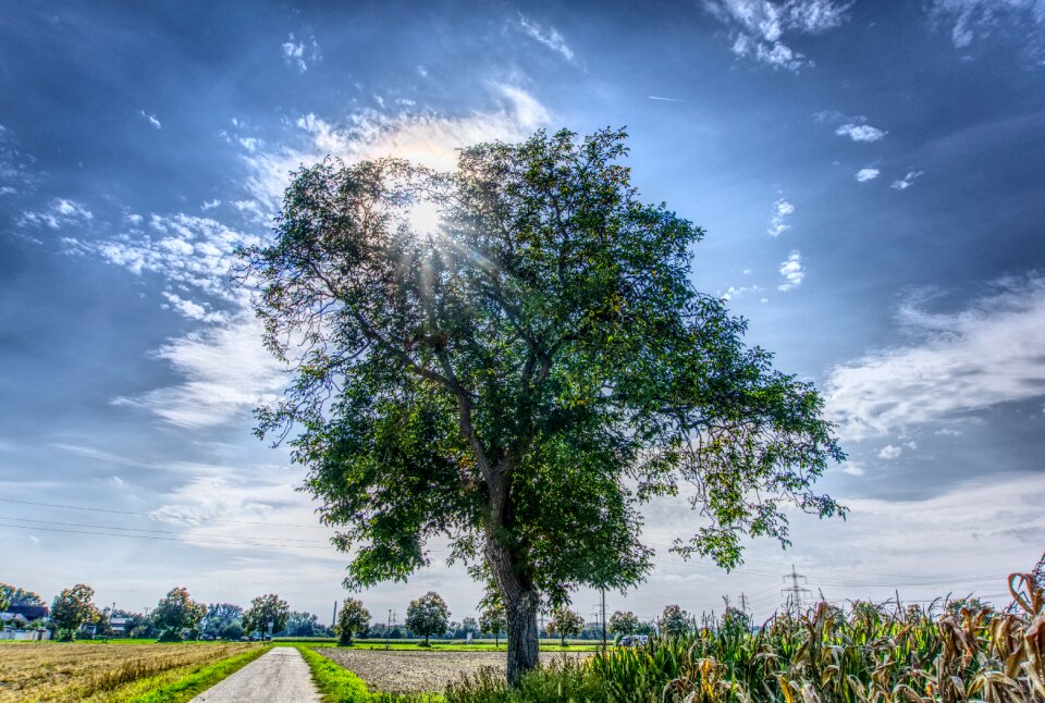 Sunbeam backlighting cycle path