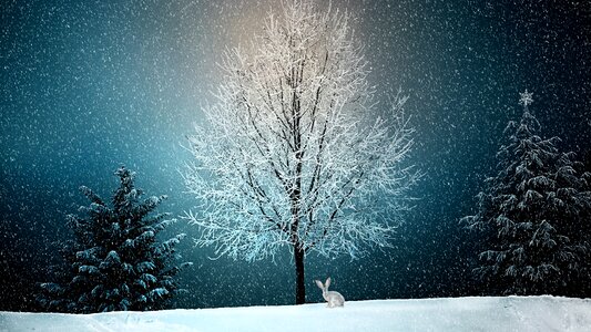 Snow landscape christmas nature photo