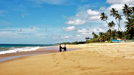 The fisherman sand beach photo