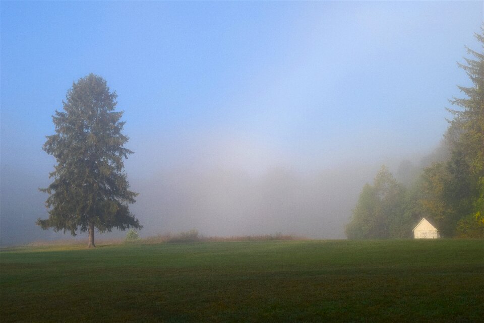 Grass nature landscape photo