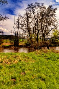 Landscape panorama tree