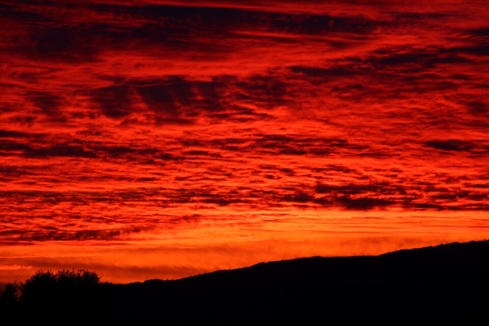Nature dusk evening