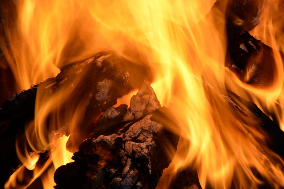 Environment wood warm