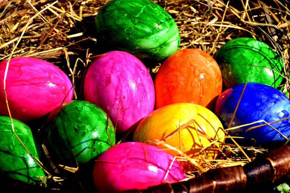 Easter easter eggs easter nest