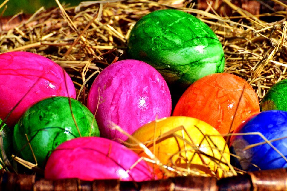 Easter easter eggs easter nest