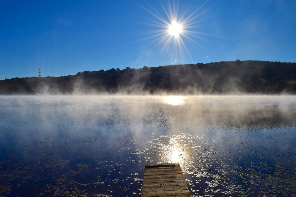 Sun dock nature