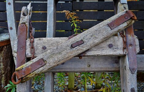 Wooden forest timber