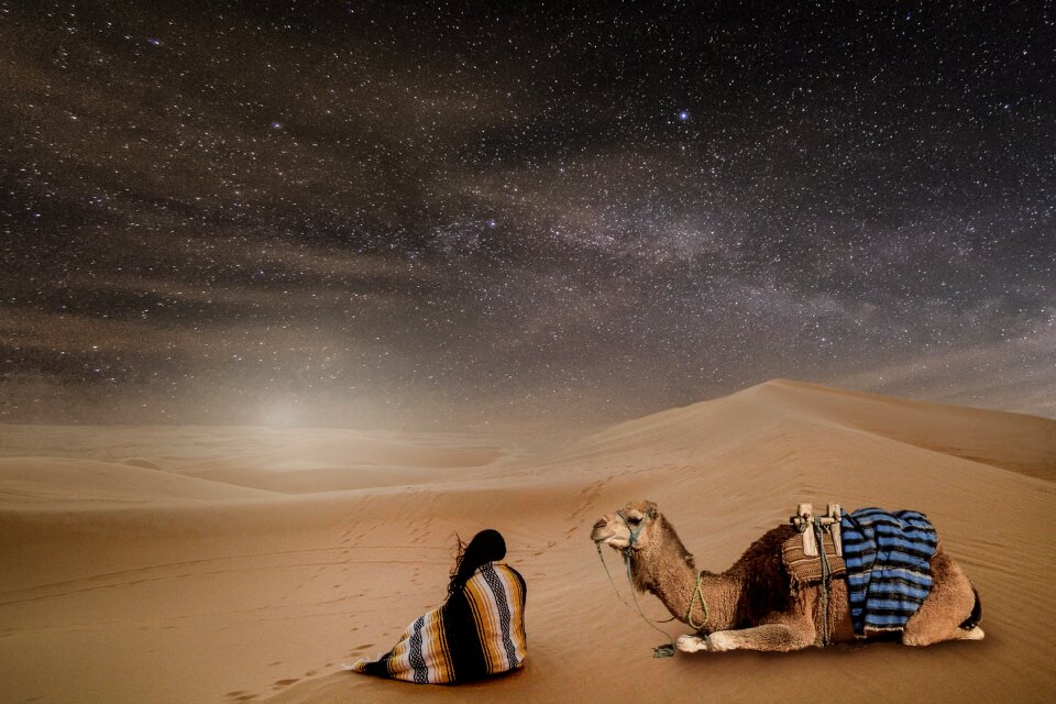 Person dromedary sand