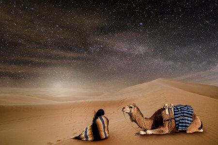 Person dromedary sand photo