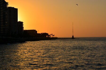 Lebanon sea sealife